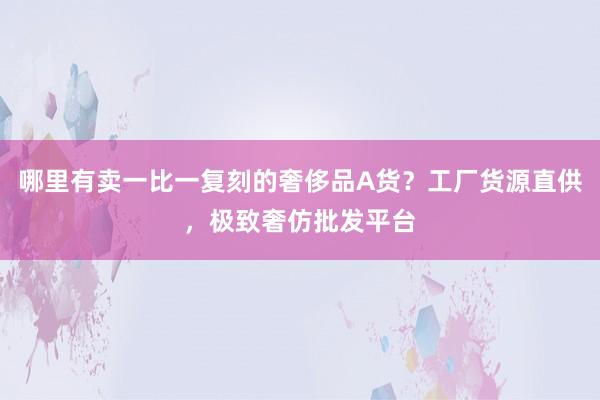 哪里有卖一比一复刻的奢侈品A货？工厂货源直供，极致奢仿批发平台