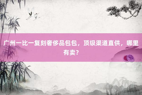 广州一比一复刻奢侈品包包，顶级渠道直供，哪里有卖？