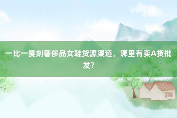 一比一复刻奢侈品女鞋货源渠道，哪里有卖A货批发？