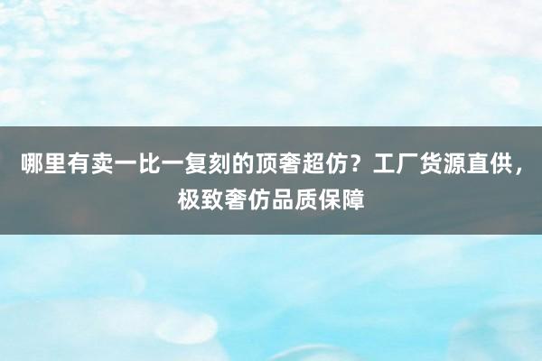 哪里有卖一比一复刻的顶奢超仿？工厂货源直供，极致奢仿品质保障
