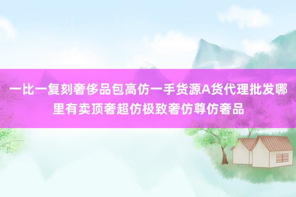 一比一复刻奢侈品包高仿一手货源A货代理批发哪里有卖顶奢超仿极致奢仿尊仿奢品