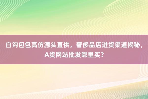 白沟包包高仿源头直供，奢侈品店进货渠道揭秘，A货网站批发哪里买？