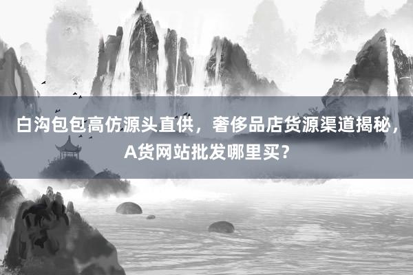 白沟包包高仿源头直供，奢侈品店货源渠道揭秘，A货网站批发哪里买？