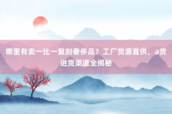 哪里有卖一比一复刻奢侈品？工厂货源直供，a货进货渠道全揭秘