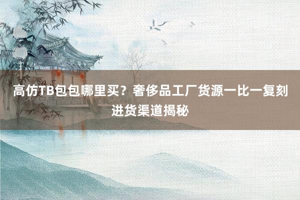 高仿TB包包哪里买？奢侈品工厂货源一比一复刻进货渠道揭秘