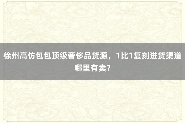 徐州高仿包包顶级奢侈品货源，1比1复刻进货渠道哪里有卖？