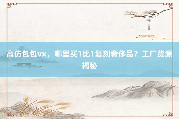 高仿包包vx，哪里买1比1复刻奢侈品？工厂货源揭秘