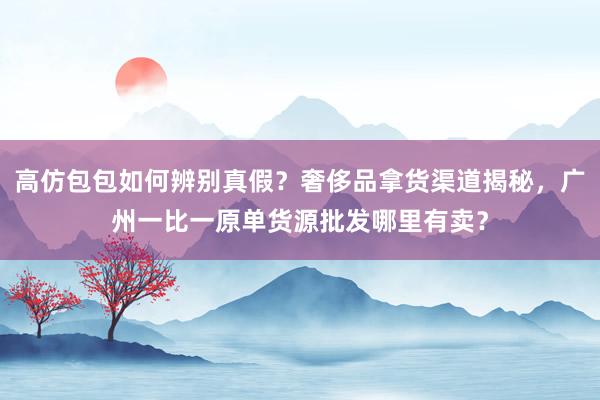 高仿包包如何辨别真假？奢侈品拿货渠道揭秘，广州一比一原单货源批发哪里有卖？