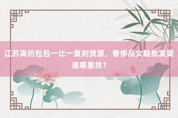 江苏高仿包包一比一复刻货源，奢侈品女鞋批发渠道哪里找？