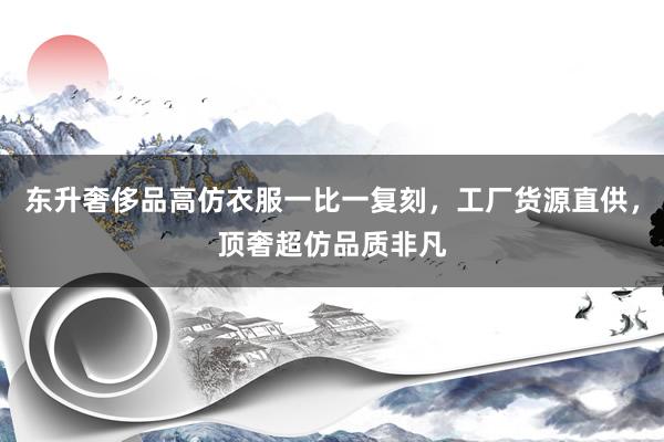 东升奢侈品高仿衣服一比一复刻，工厂货源直供，顶奢超仿品质非凡